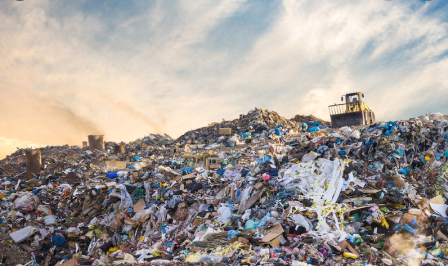 4 Steps to a Low Waste Lifestyle