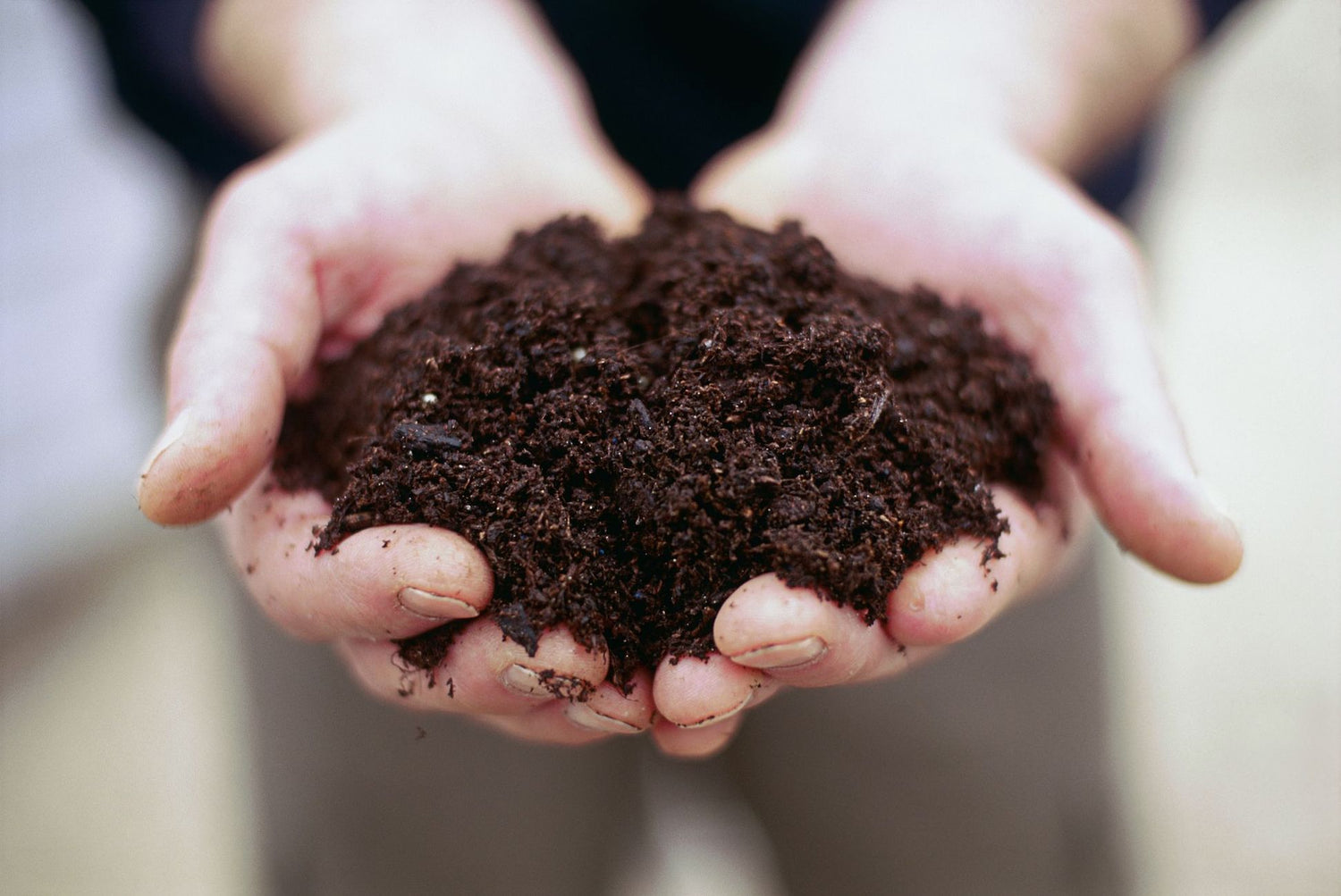Too Good to Waste: 4 Tips to Up Your Compost Game