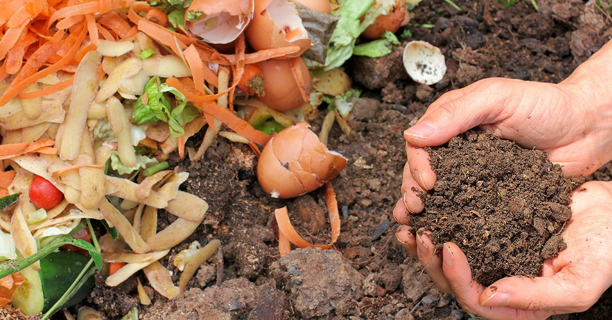 Compostable vs Biodegradable: What’s the Difference?