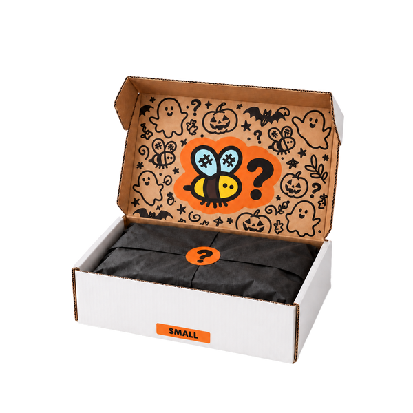 Small Halloween Mystery Box