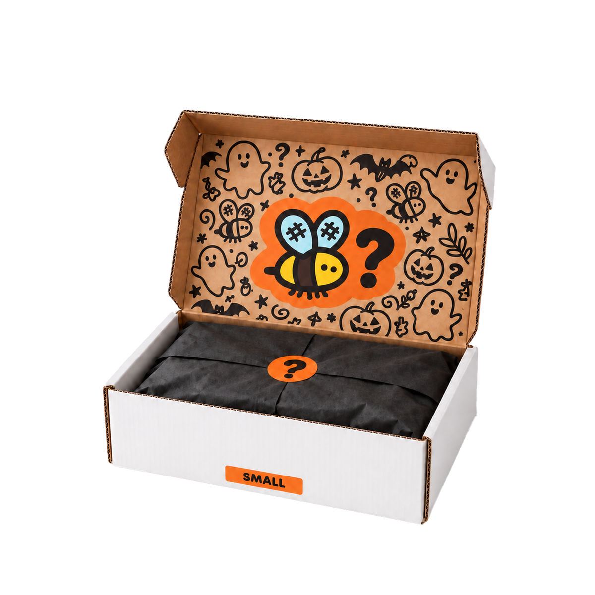Small Halloween Mystery Box