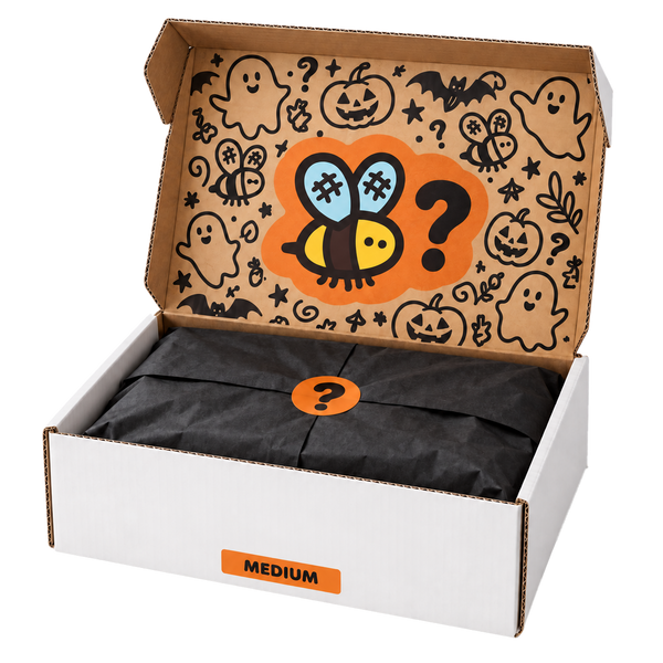Medium Halloween Mystery Box