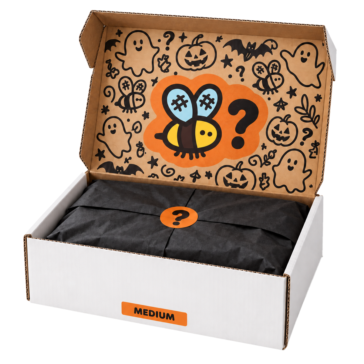 Medium Halloween Mystery Box
