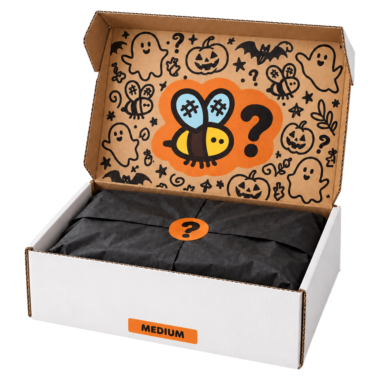Medium Halloween Mystery Box